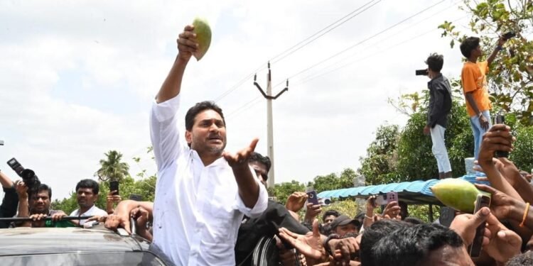 Y. S. Jagan Mohan Reddy Demands Action on Andhra Pradesh Farmers Crisis