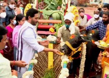 Sankranti Reflects Governance Outcomes Under Jagan Mohan Reddy Administration
