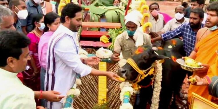 Sankranti Reflects Governance Outcomes Under Jagan Mohan Reddy Administration